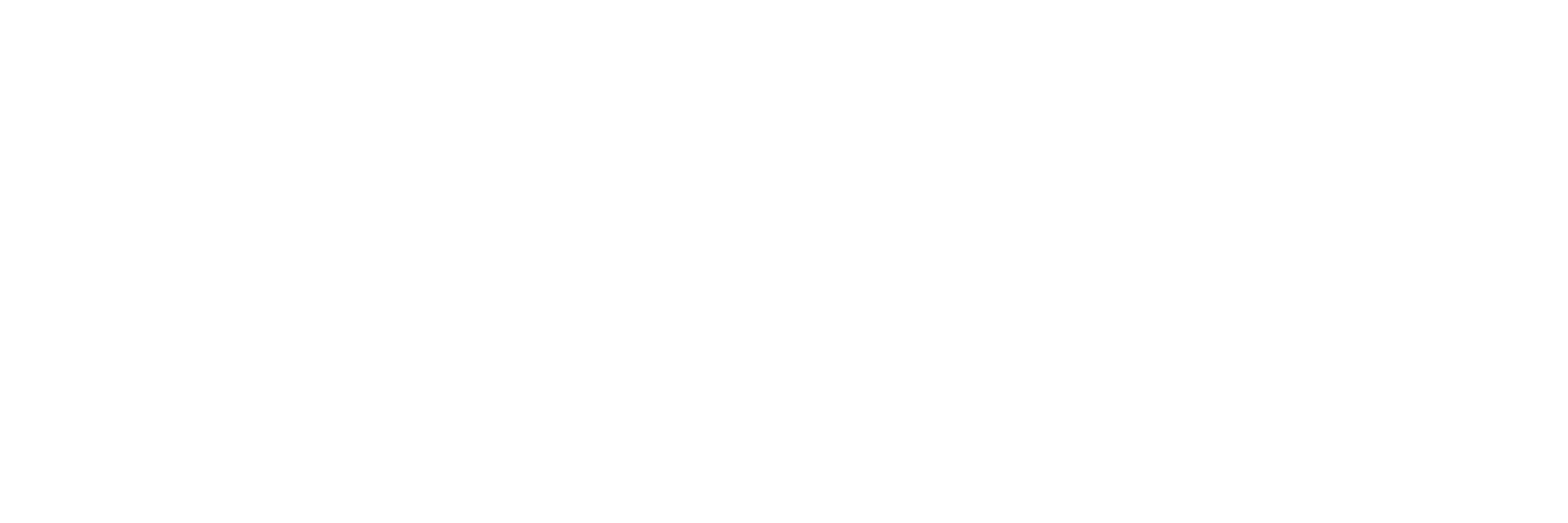 Weinmann Business Solutions Logo